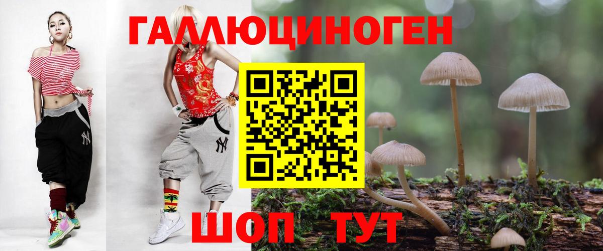 Галлюциногенные грибы Psilocybine cubensis Лыткарино